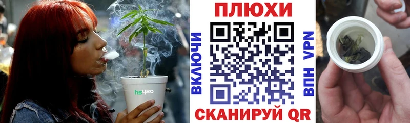 ГАШ Cannabis Зея