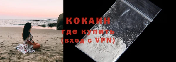 соль ск Дмитровск