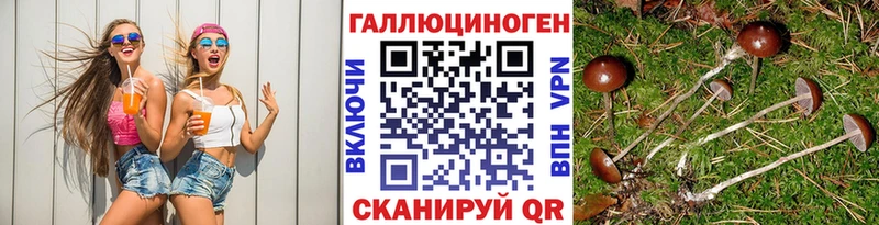Псилоцибиновые грибы мицелий  Зея 